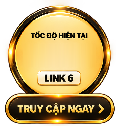 LINK 6